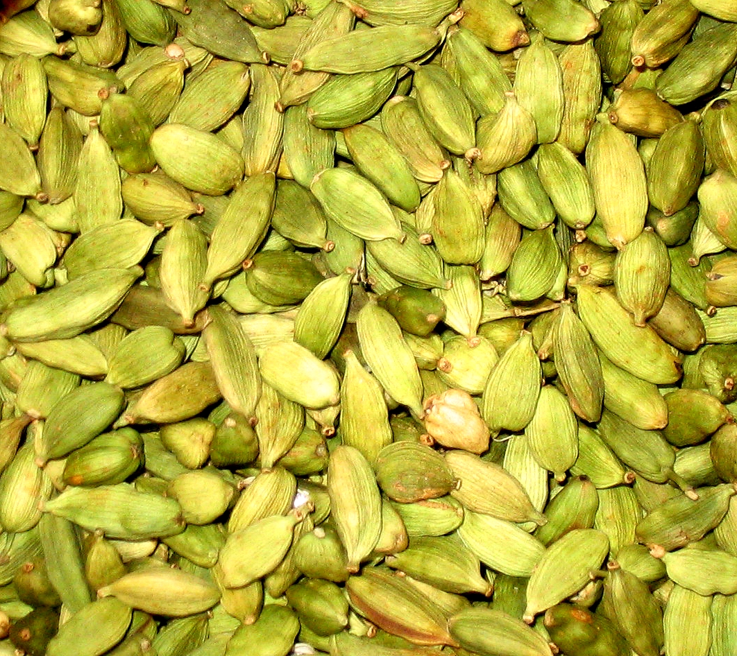 Cardamom: Cultivating a New Frontier (image credits: wikimedia)