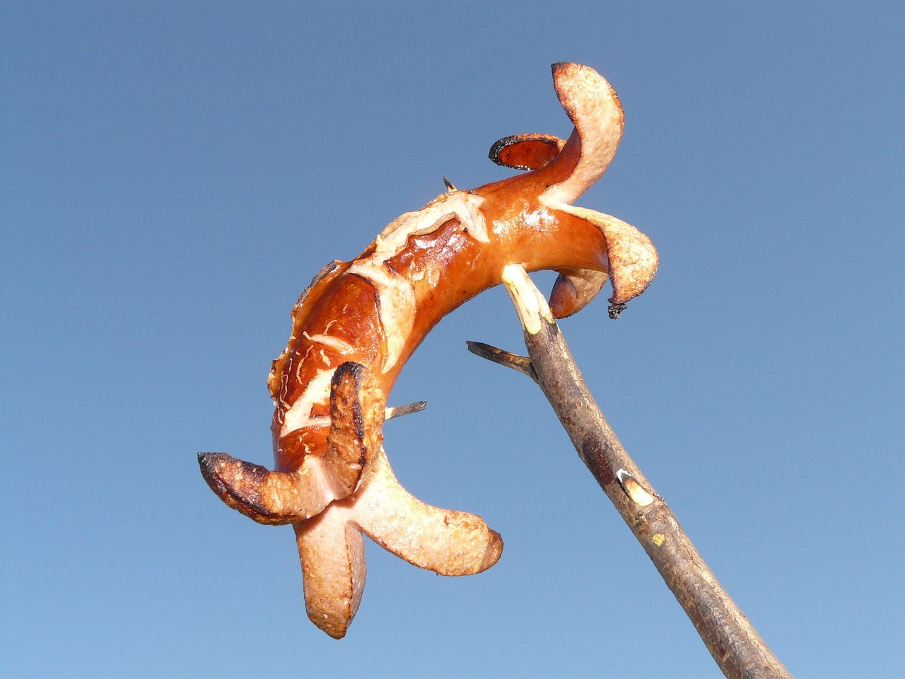 Broiling: Quick and Crispy Alternative (image credits: pixabay)