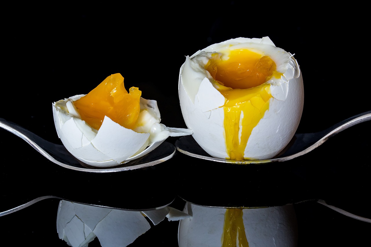 Eggs: The Creamy Delight (image credits: pixabay)