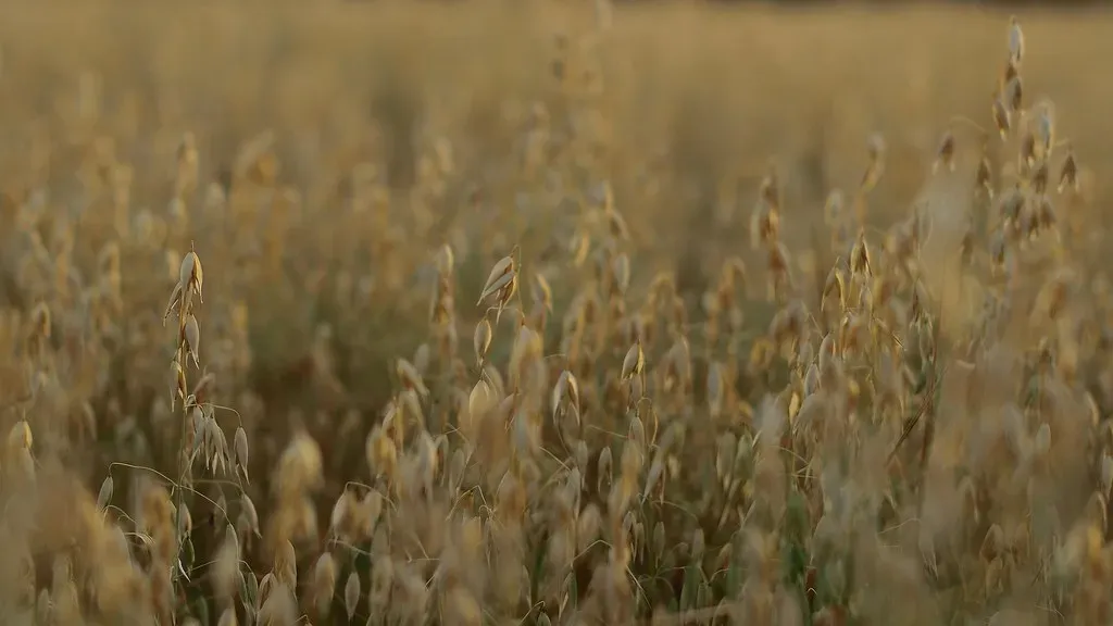 The Environmental Claims That Don't Hold Up (Image Credits: Flickr)