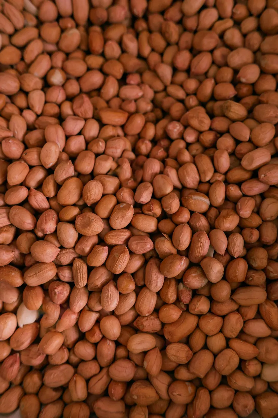 Franks and Beans (Image Credits: Unsplash)