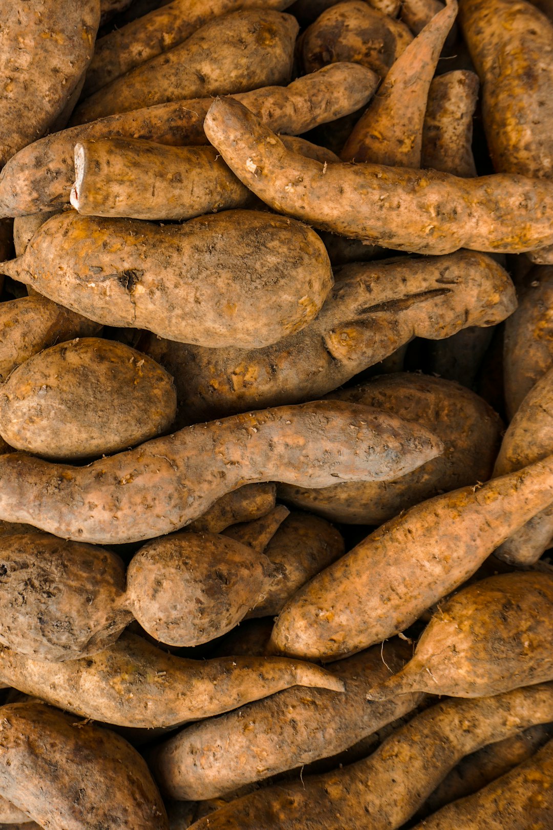 Supporting Local and Organic Produce (image credits: unsplash)