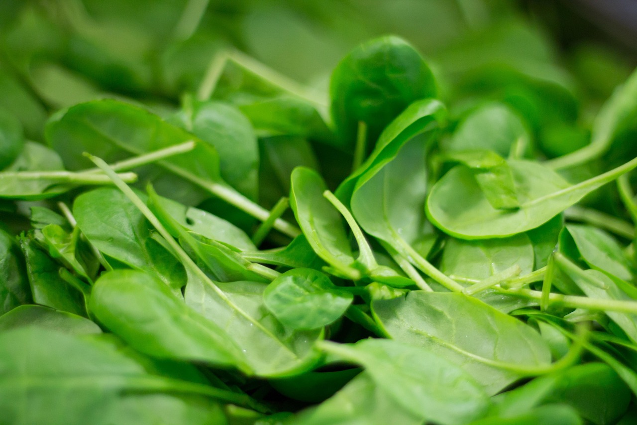 Spinach (image credits: pixabay)