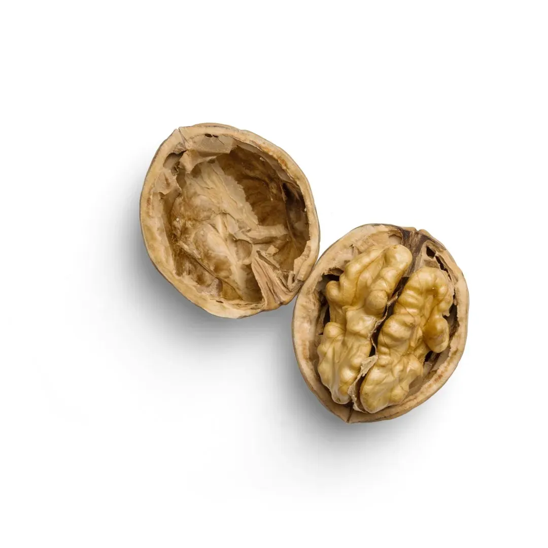 7. Walnut Seeds - The Brain-Shaped Food That Feeds Your Brain (Image Credits: Unsplash)