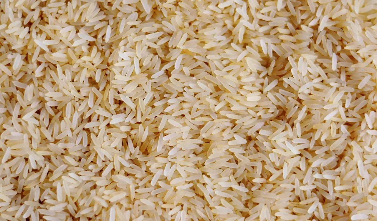 Staple #1: Rice (Image Credits: Pixabay)