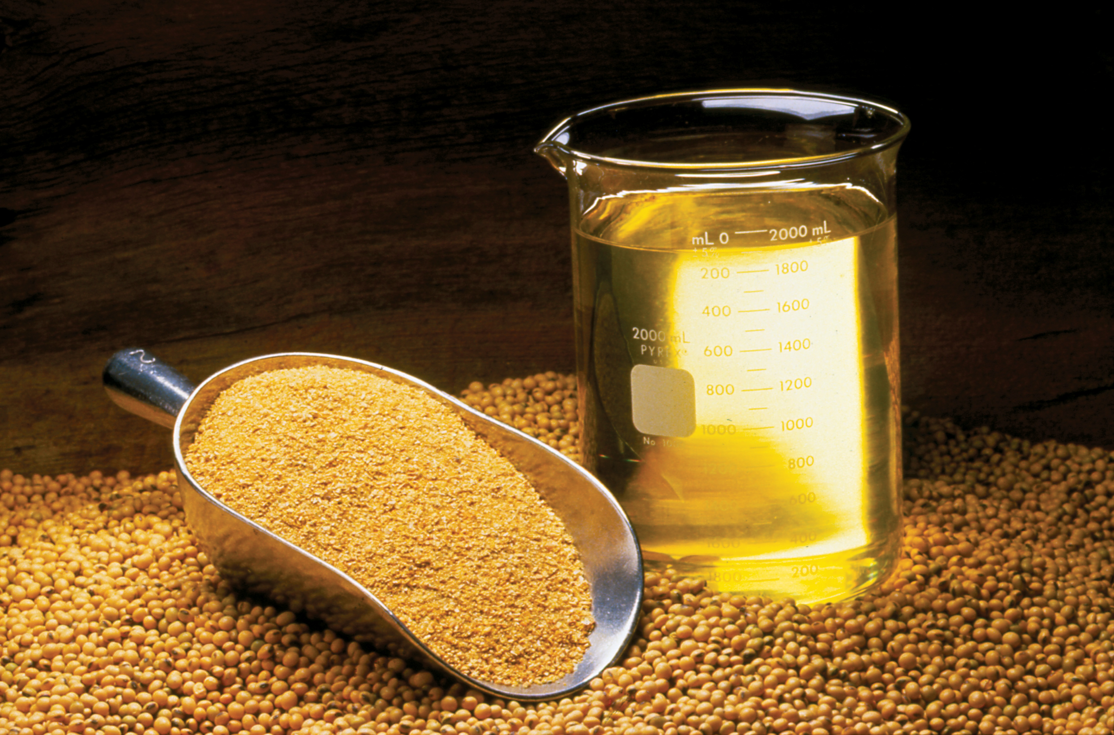 Soybean Oil - The Versatile Option (image credits: Soybean Oil, Meal and Beans, CC BY 2.0, https://commons.wikimedia.org/w/index.php?curid=54522938)
