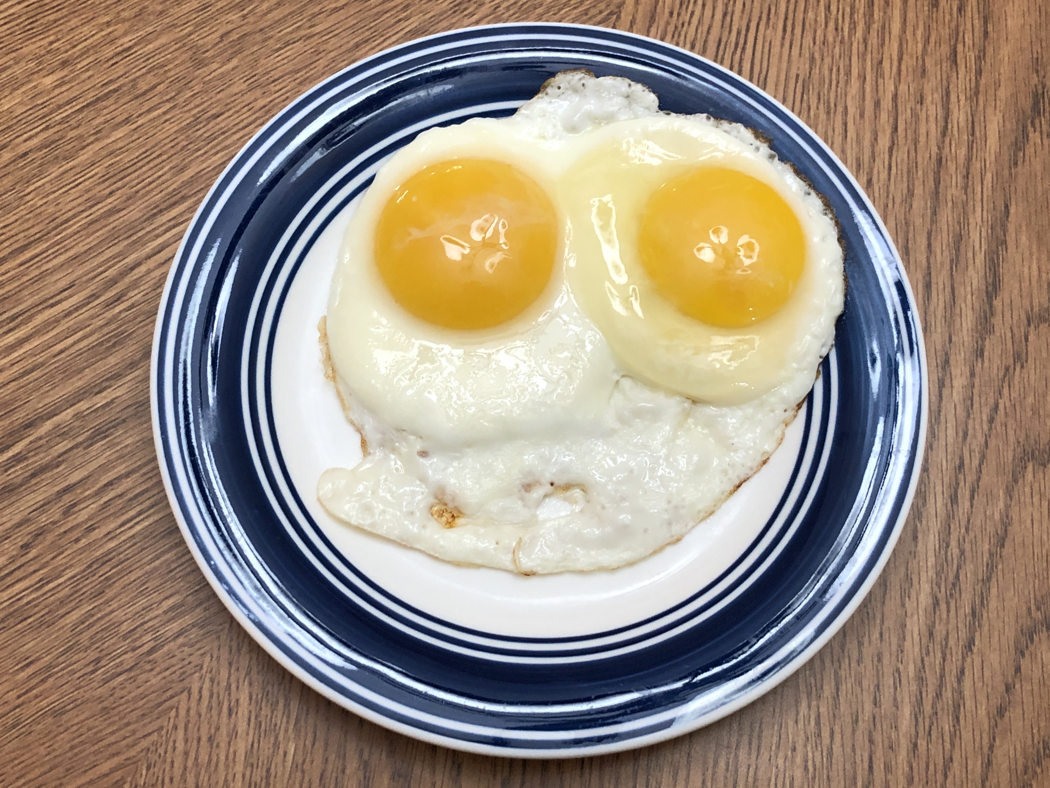 Eggs: The Powerhouse Protein (image credits: wikimedia)