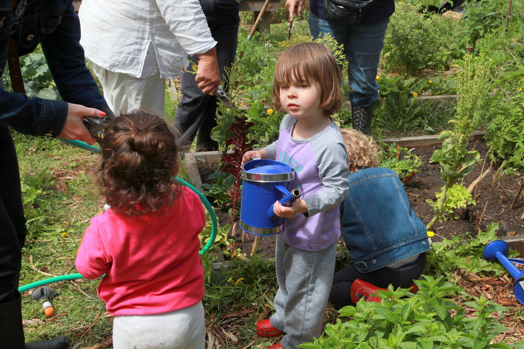 Communities Leading the Charge (image credits: flickr)