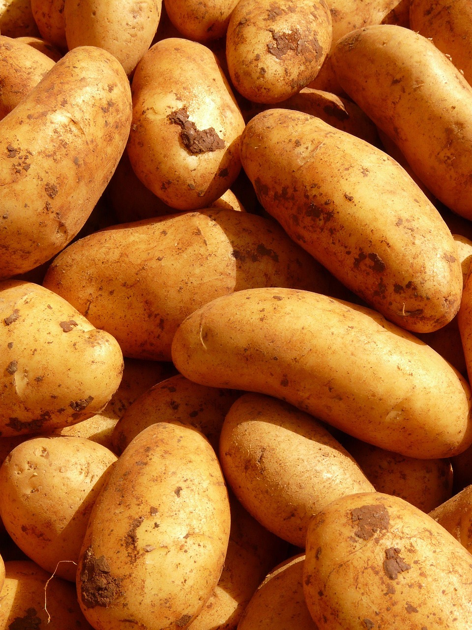 Potatoes: The Humble Nutritional Star (image credits: pixabay)