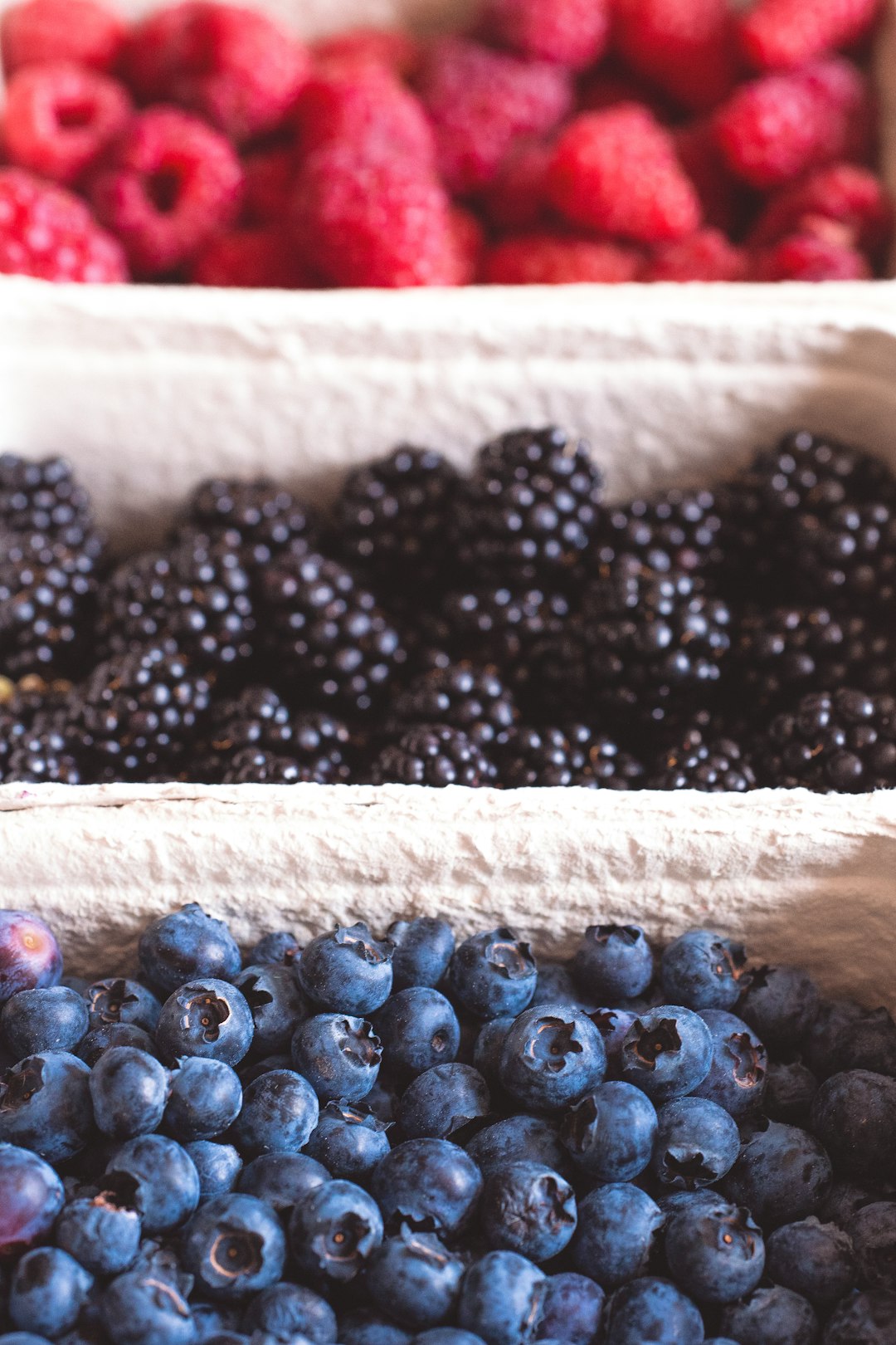 Blackberries: A Berry Good Choice (image credits: unsplash)