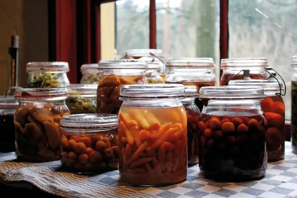Kimchi: A Case Study in Fermented Power (Tinekex3, Flickr, CC BY 2.0)