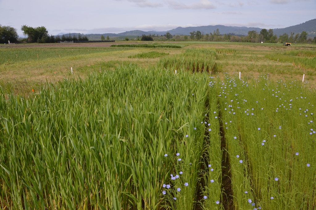 Economic Benefits Challenge Traditional Cost Models (Image Credits: Flickr)