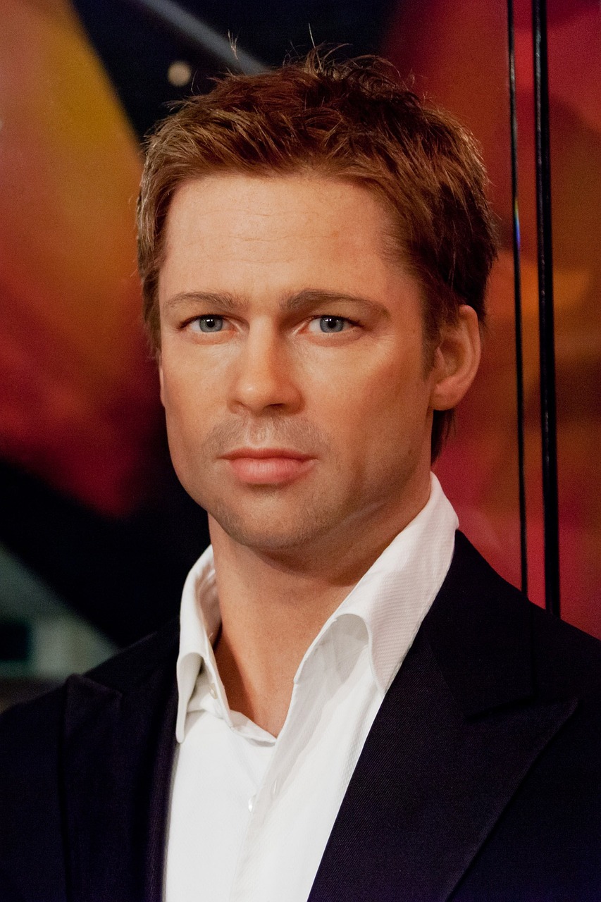 Brad Pitt: Advocating for Change (image credits: pixabay)
