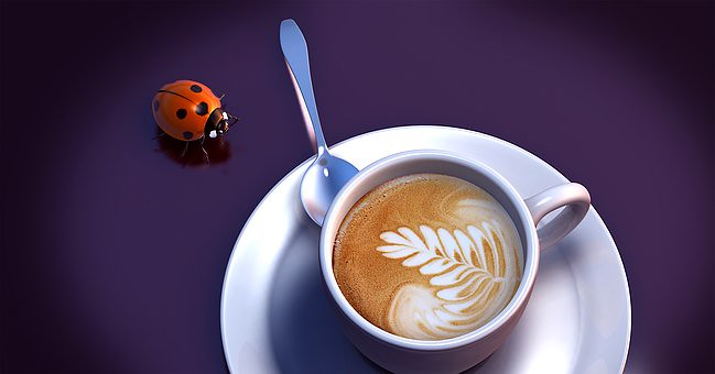 Coffee's Worst Enemy Actually Lives on Caffeine (image credits: flickr)