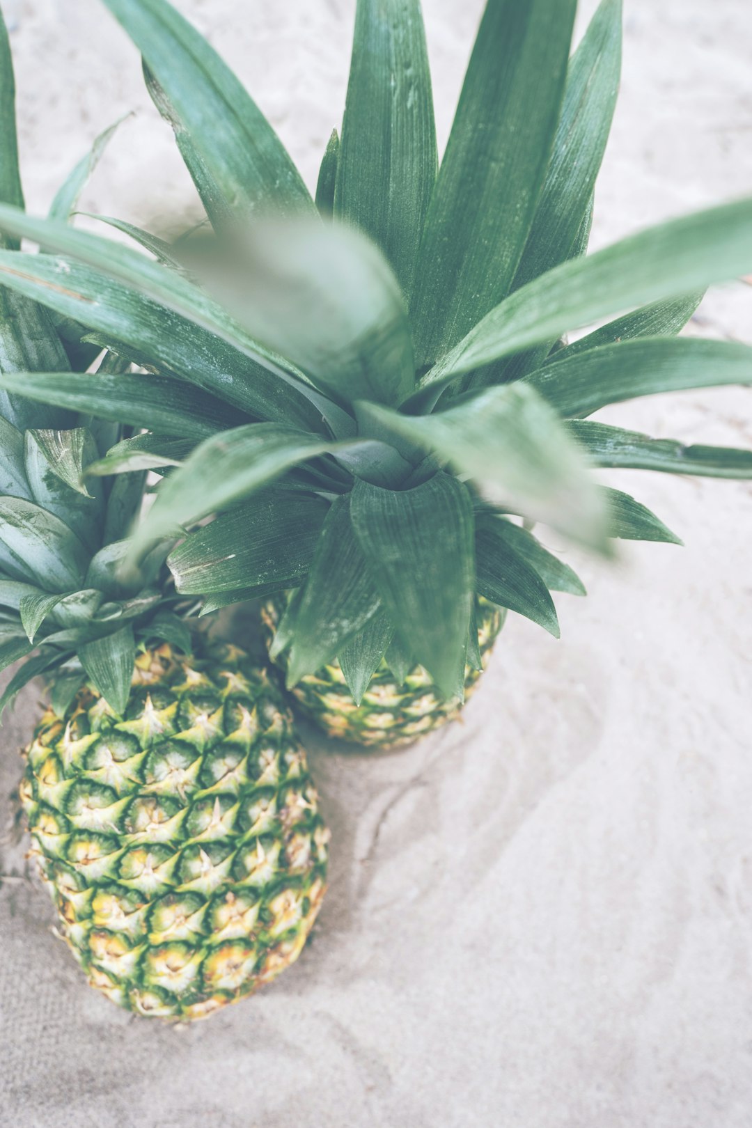 Pineapple (image credits: unsplash)