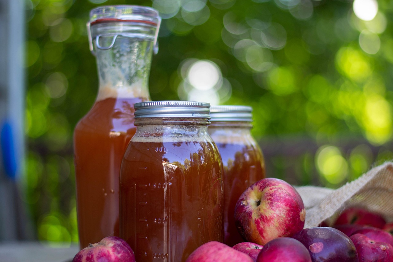 Apple Cider Vinegar Tonic: Tangy and Transformative (image credits: pixabay)