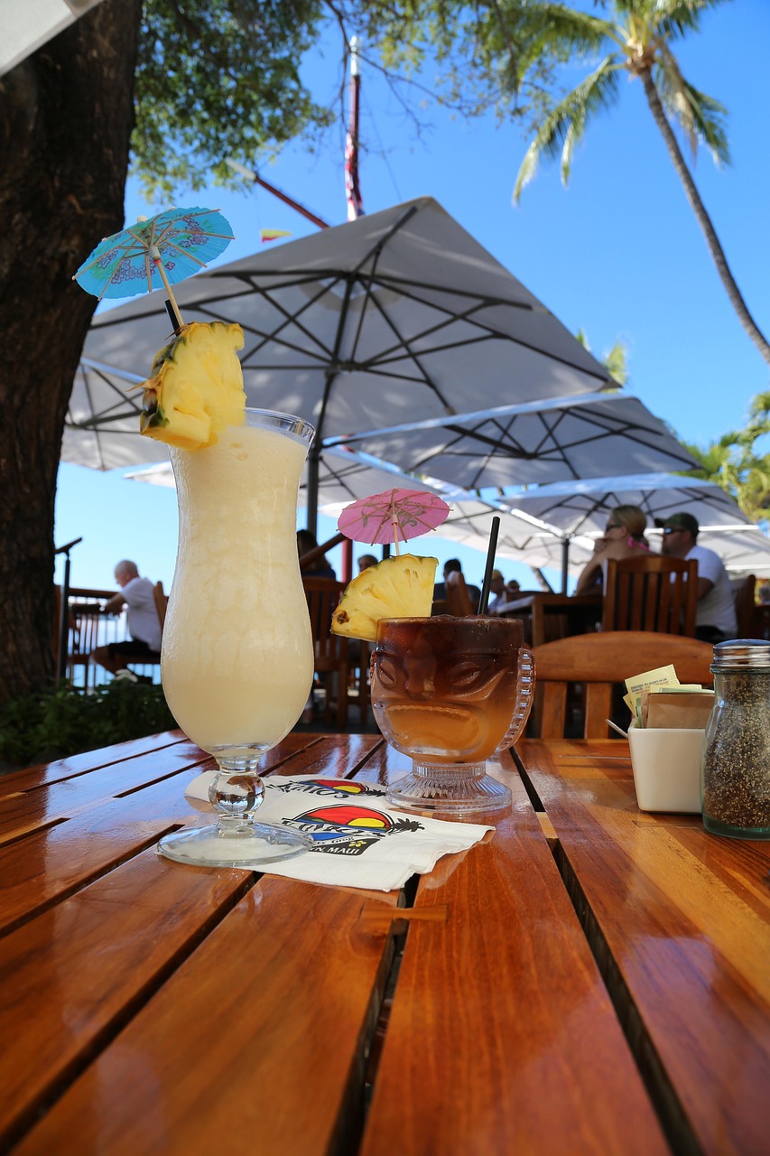 Blended Piña Coladas and Frozen Disasters (image credits: pixabay)