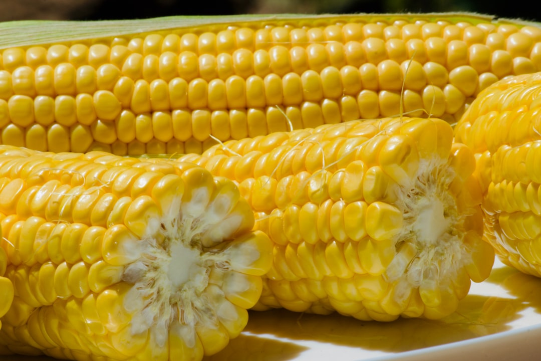 Corn: The Antioxidant Surprise (image credits: unsplash)