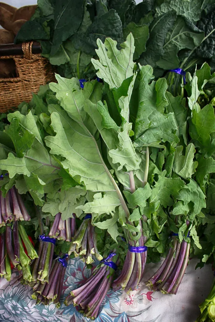 6. Kale: The Poster Vegetable That Overstayed Its Welcome (Image Credits: Flickr)