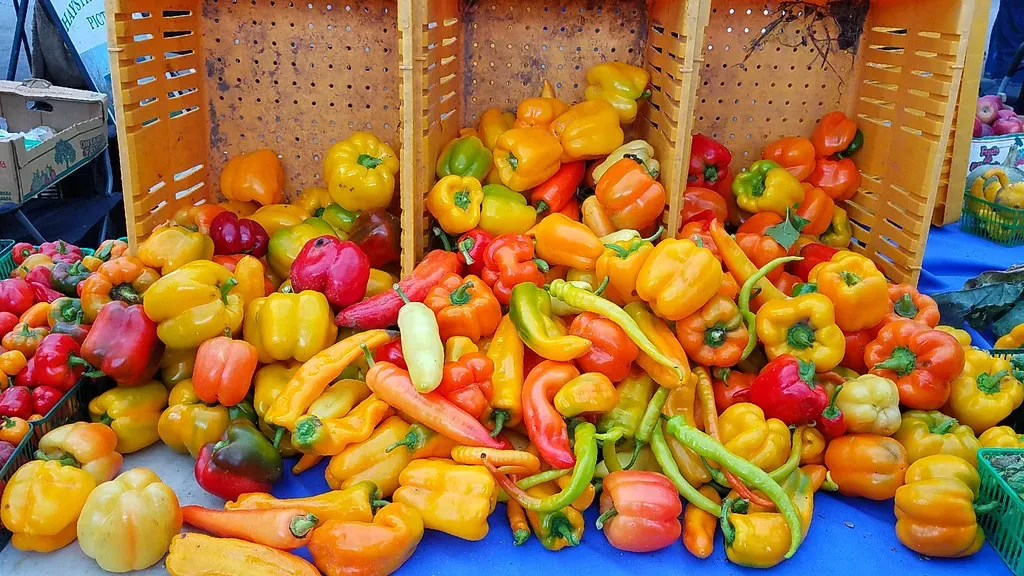 Income Versus Knowledge: What Really Drives Healthy Choices (Image Credits: Flickr)