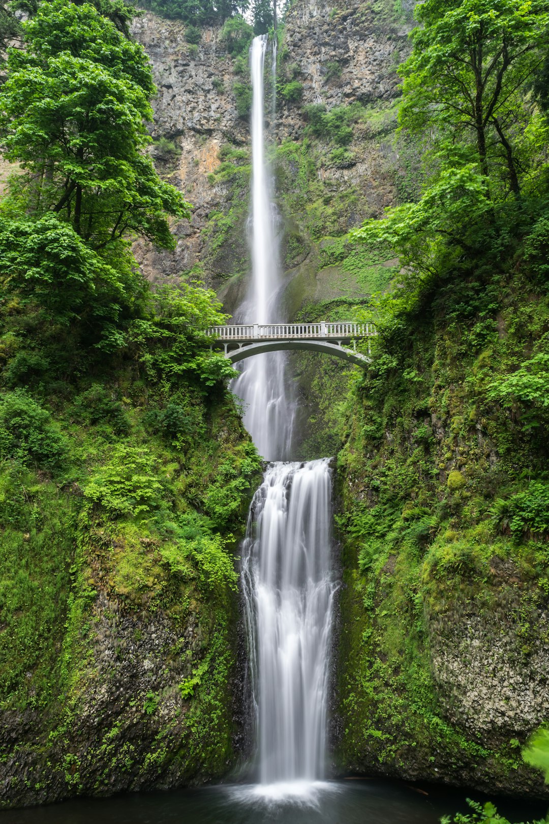 The Influence of Nature (image credits: unsplash)