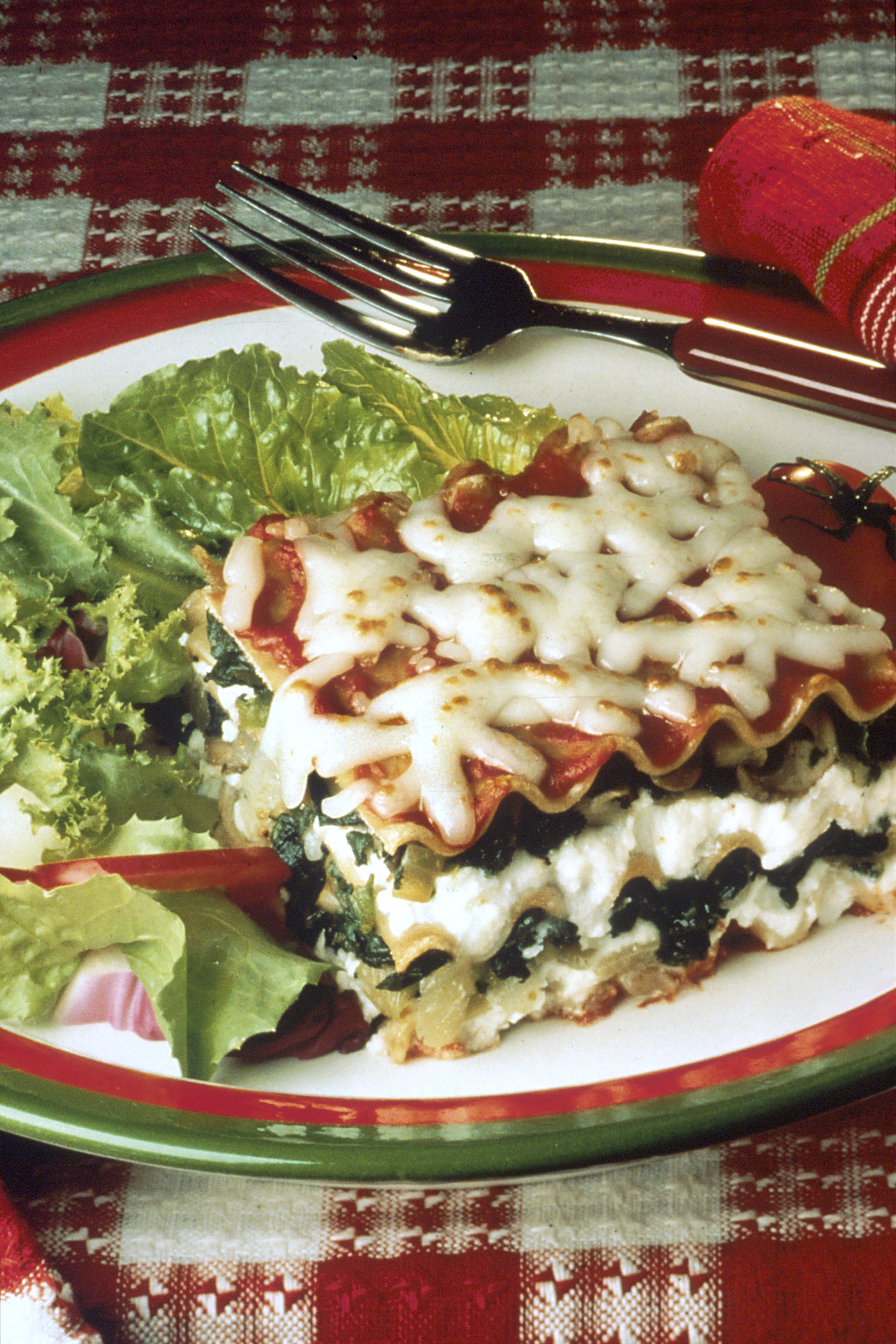 The Health Aspects of Lasagna (image credits: wikimedia)
