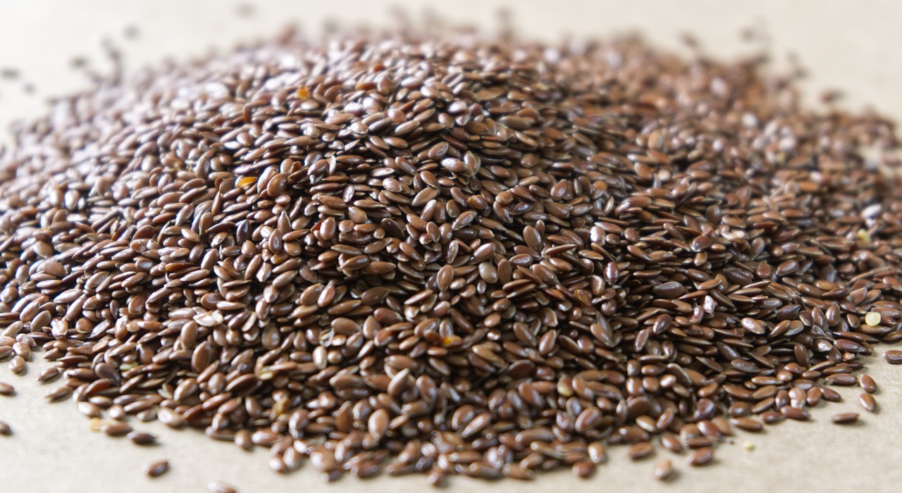 The Conversion Challenge: Why Plant Sources Still Matter (image credits: pixabay)