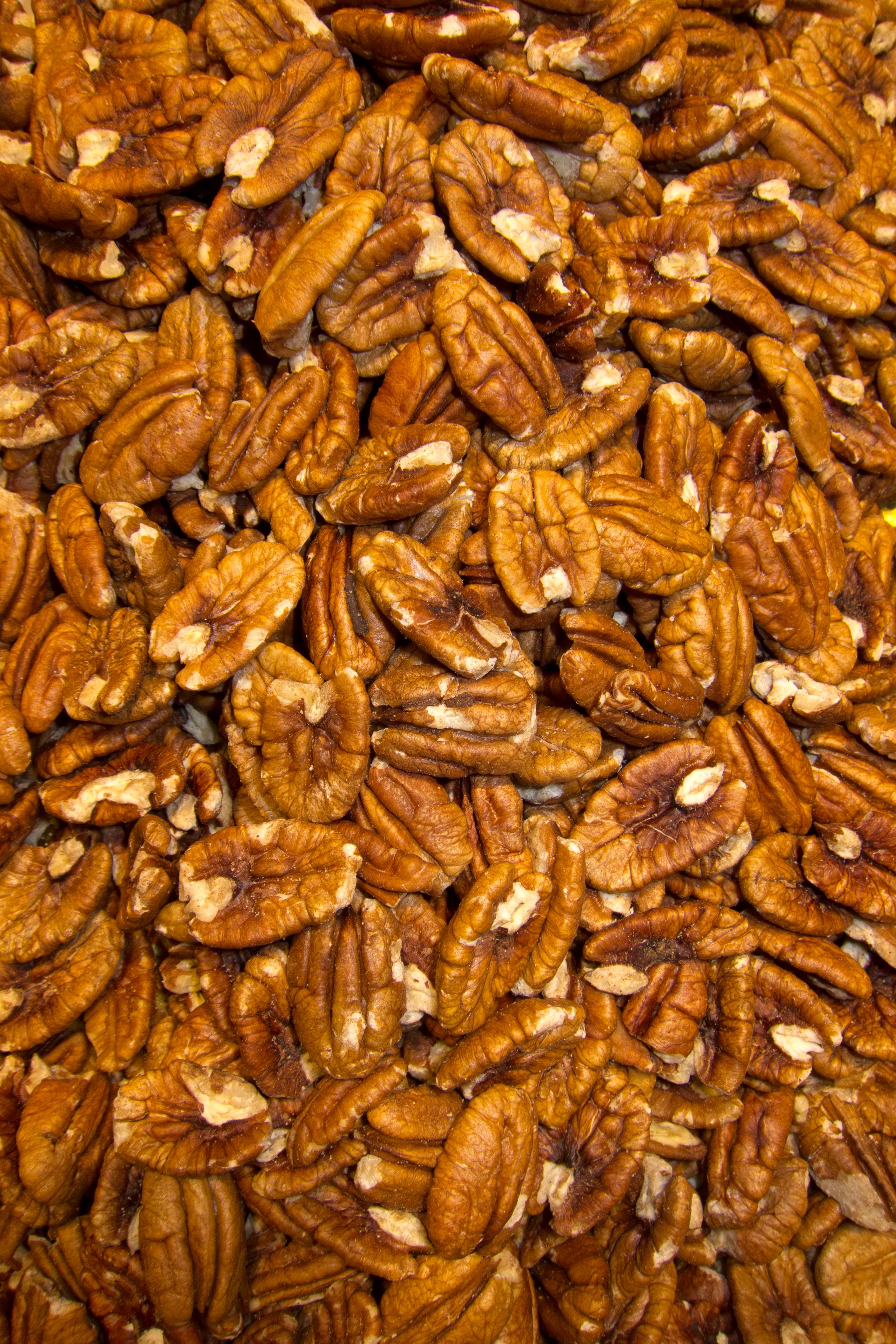 Pecans: The Southern Staple (image credits: wikimedia)