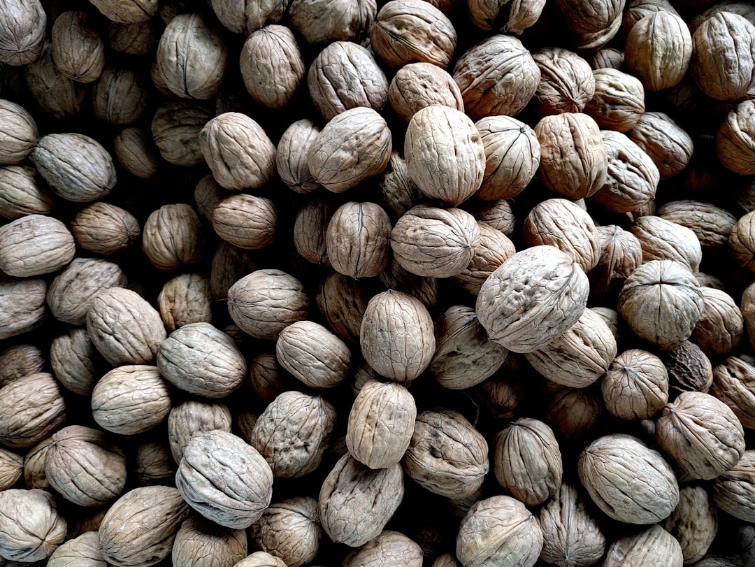 Walnuts (Soaked) (image credits: unsplash)