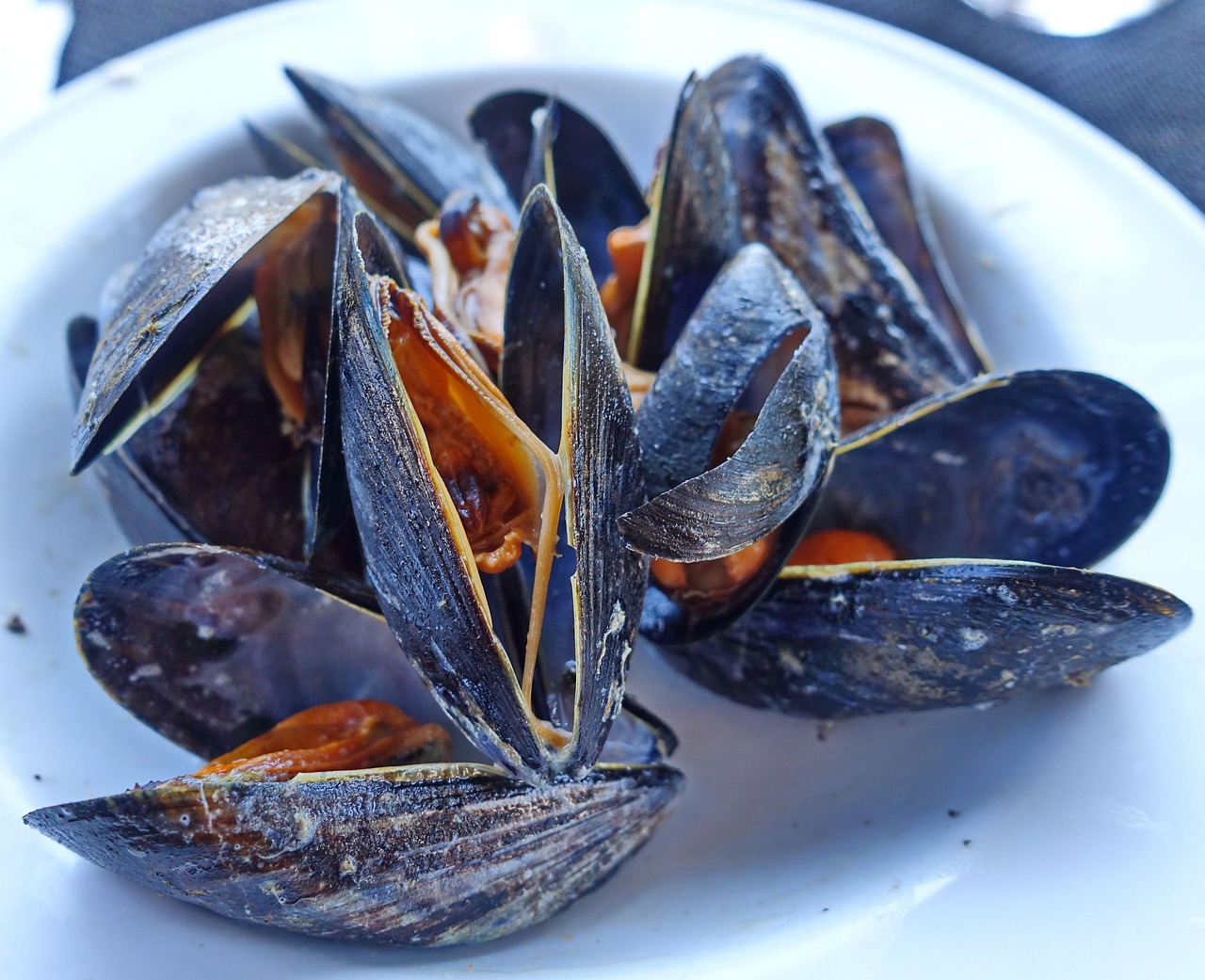 Steamed Mussels with Garlic and White Wine (image credits: pixabay)