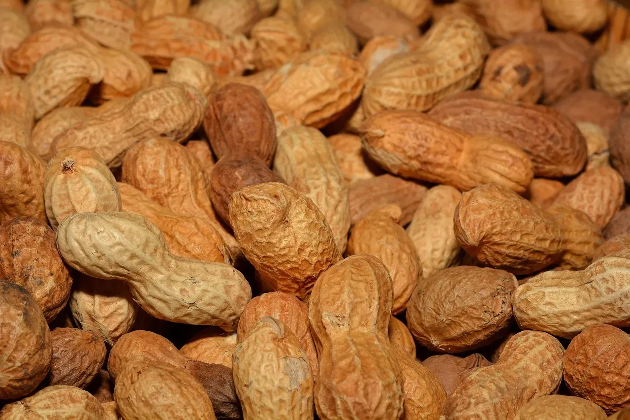 Carolina African Runner Peanuts (Image Credits: Pixabay)