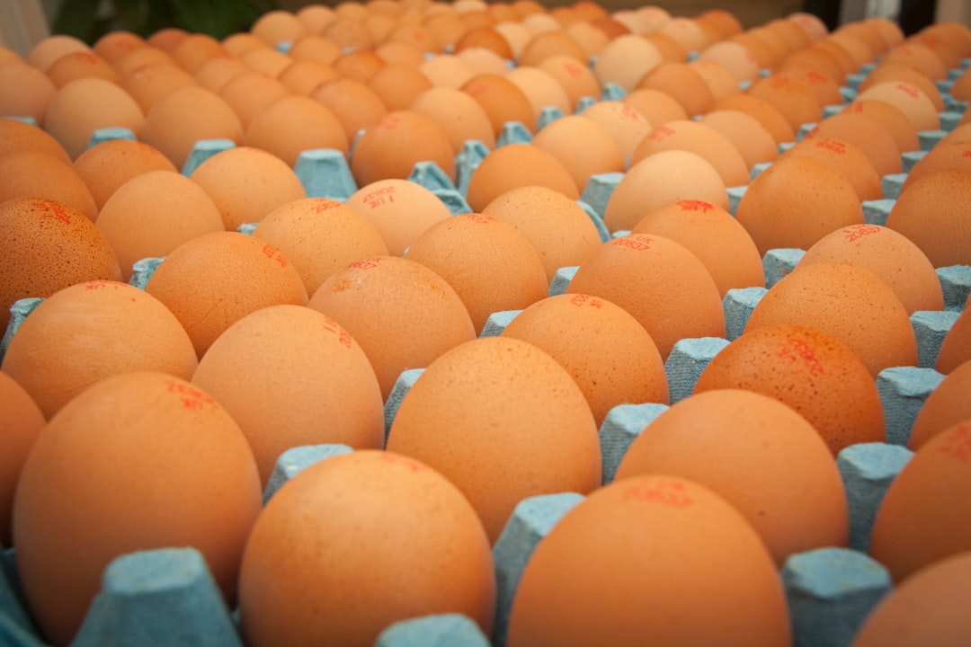Imported Eggs (image credits: unsplash)