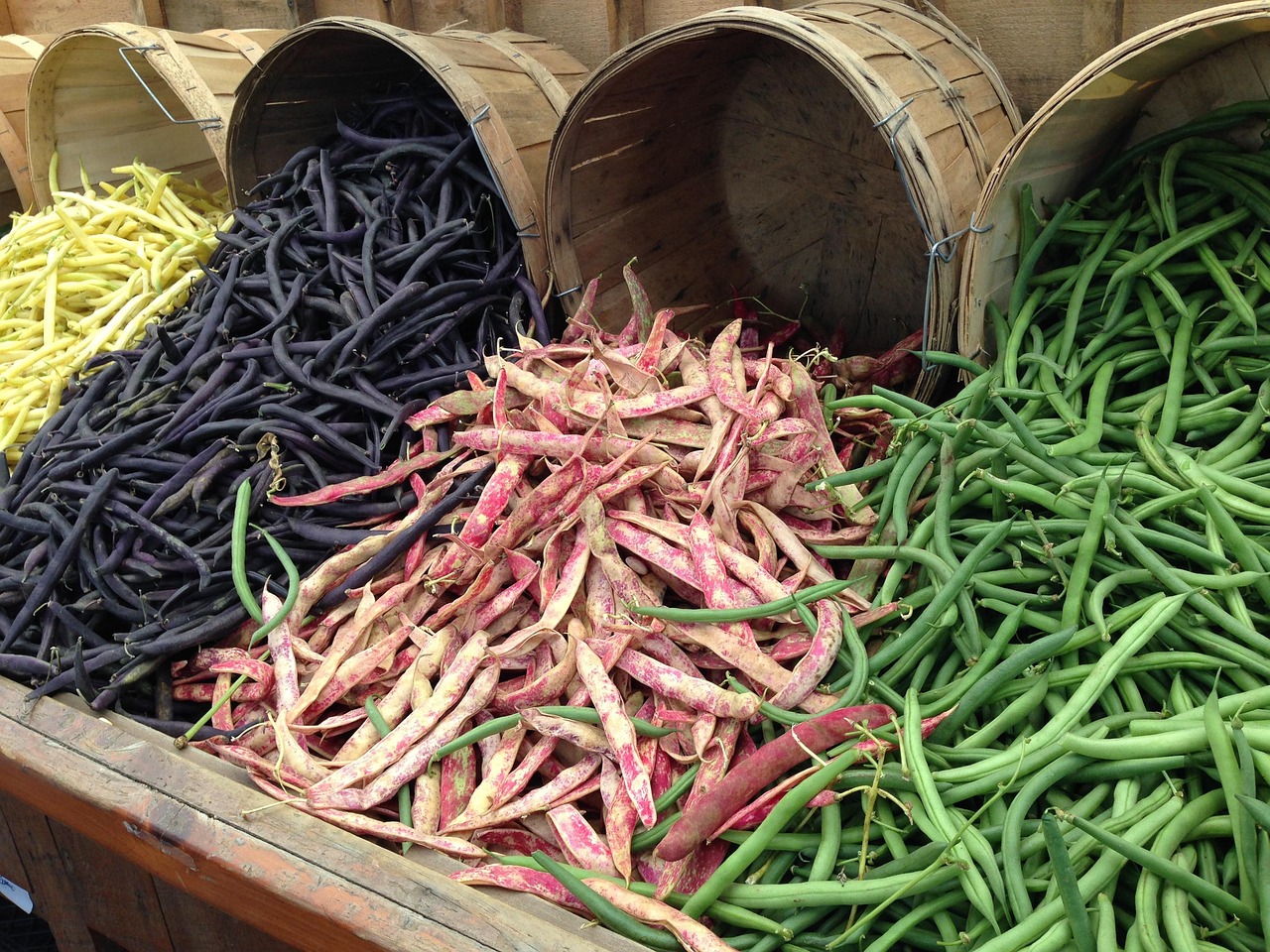 Beans and Legumes (image credits: pixabay)