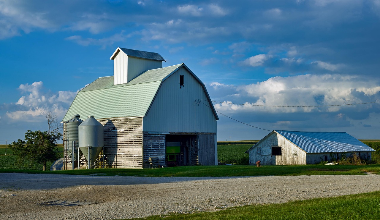 The Iowa Paradox: Farm Country's Forgotten Health (image credits: pixabay)