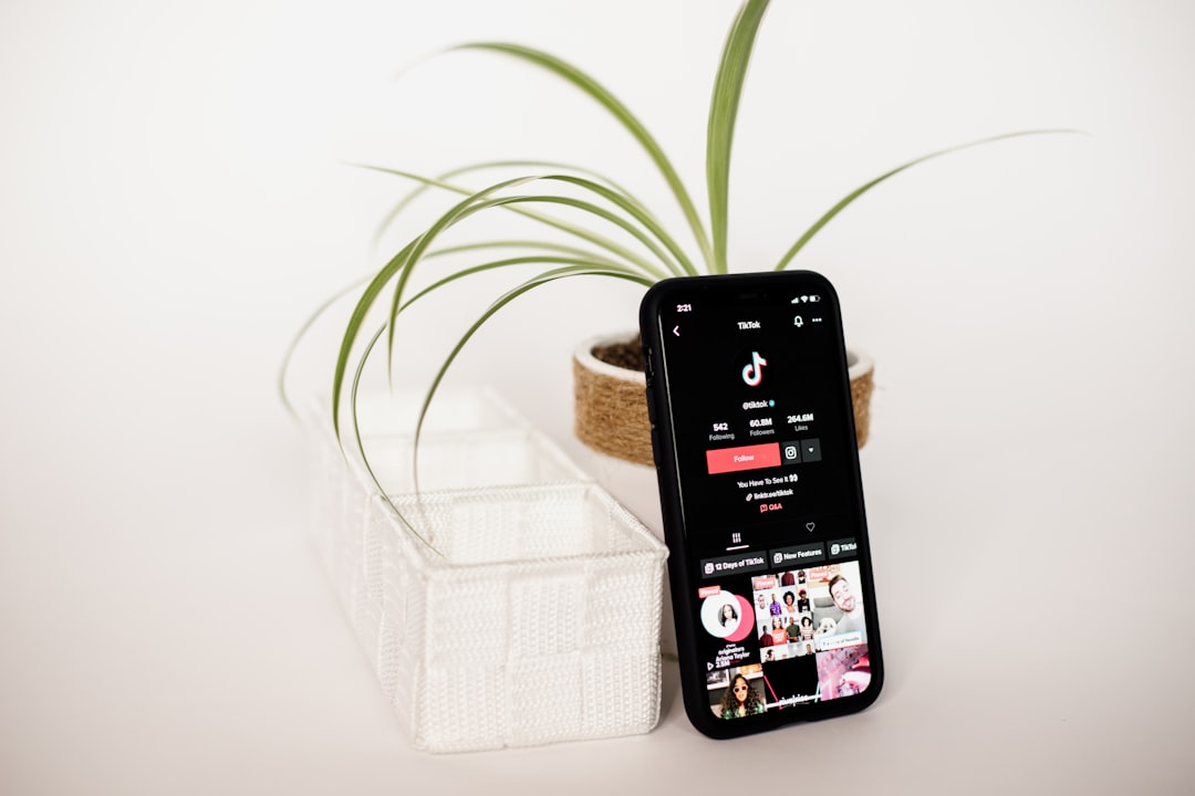 TikTok's Algorithm Creates Food Fame Overnight (image credits: unsplash)