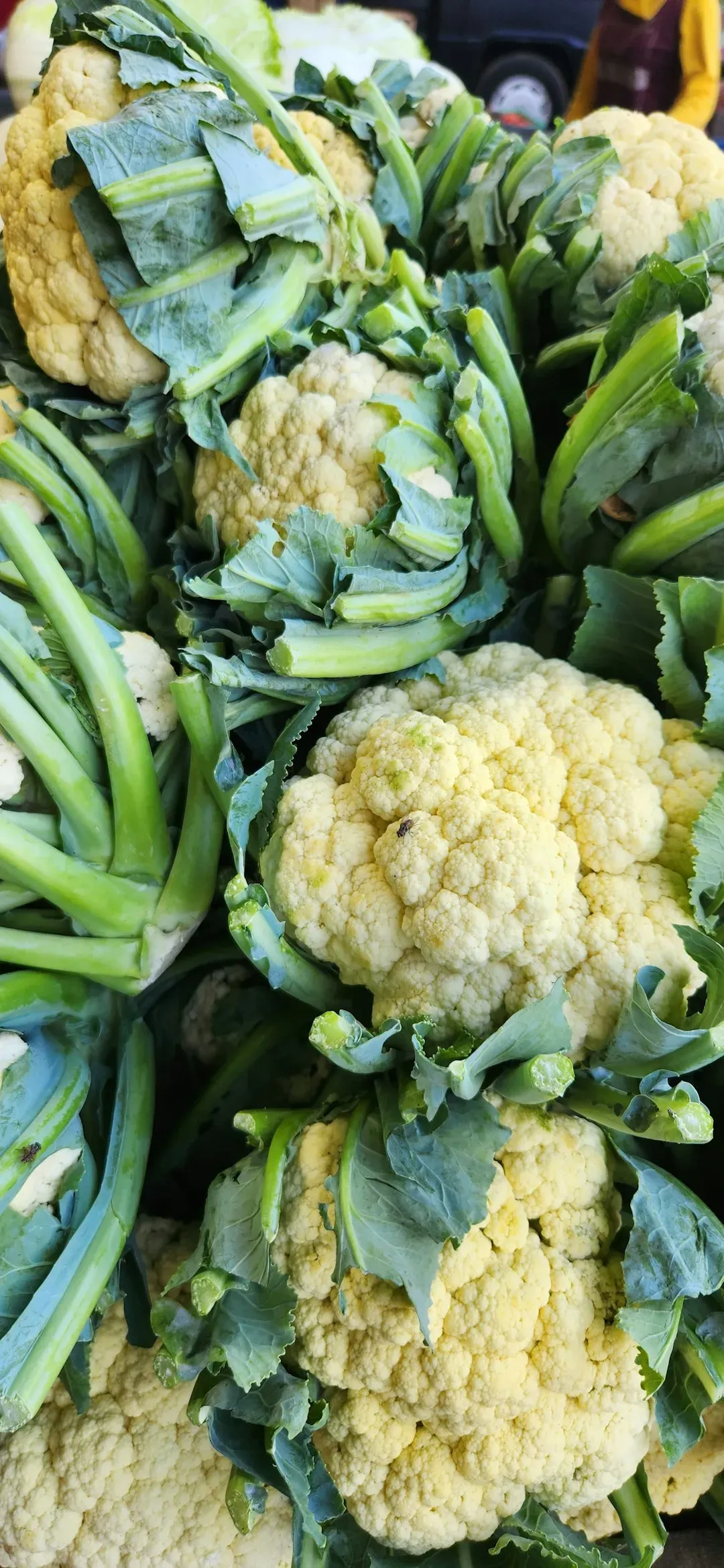 Cultural Preservation Happens Through Eating (Image Credits: Unsplash)