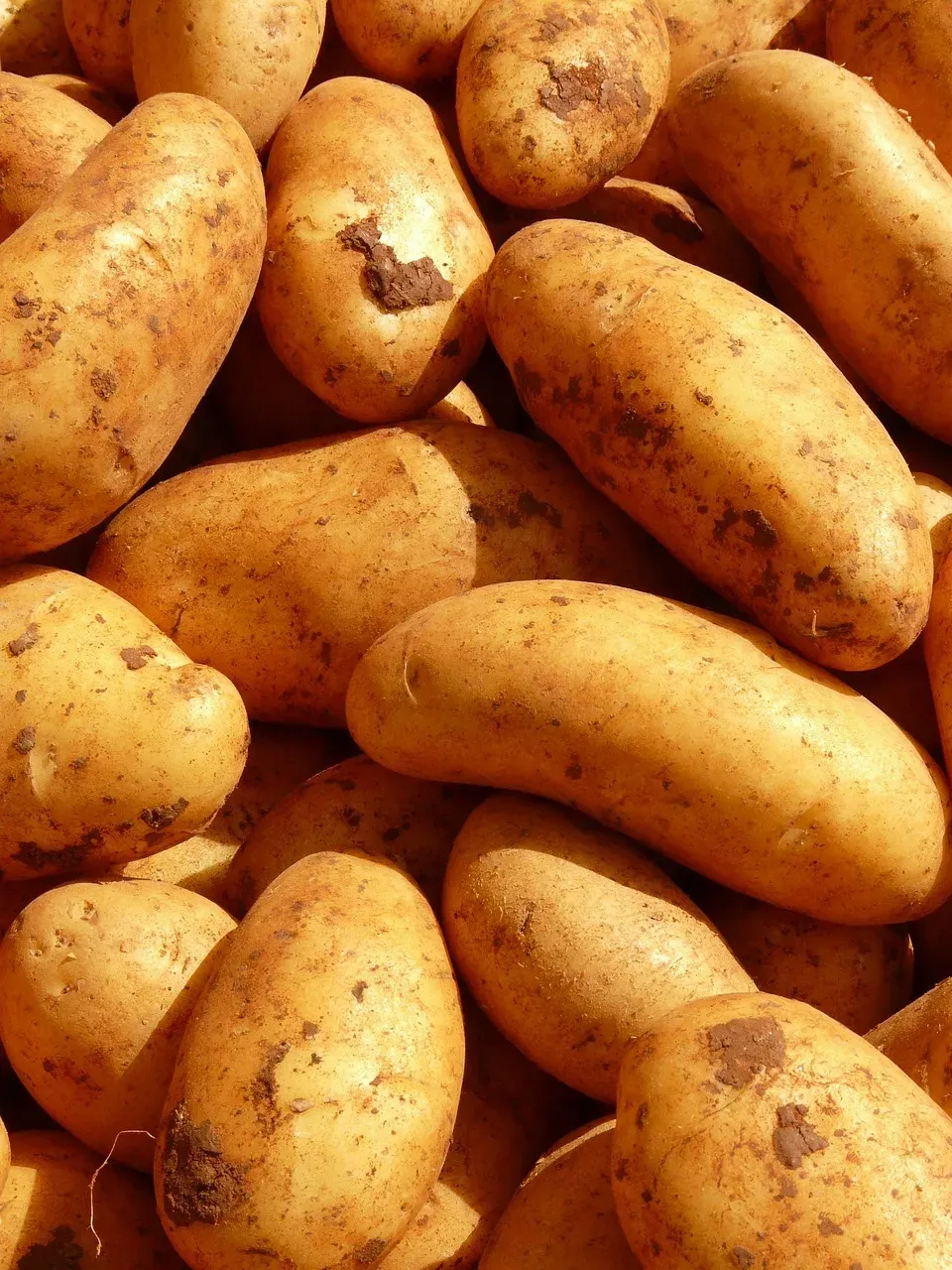 Potatoes: The Starchy Disappointment (Image Credits: Pixabay)