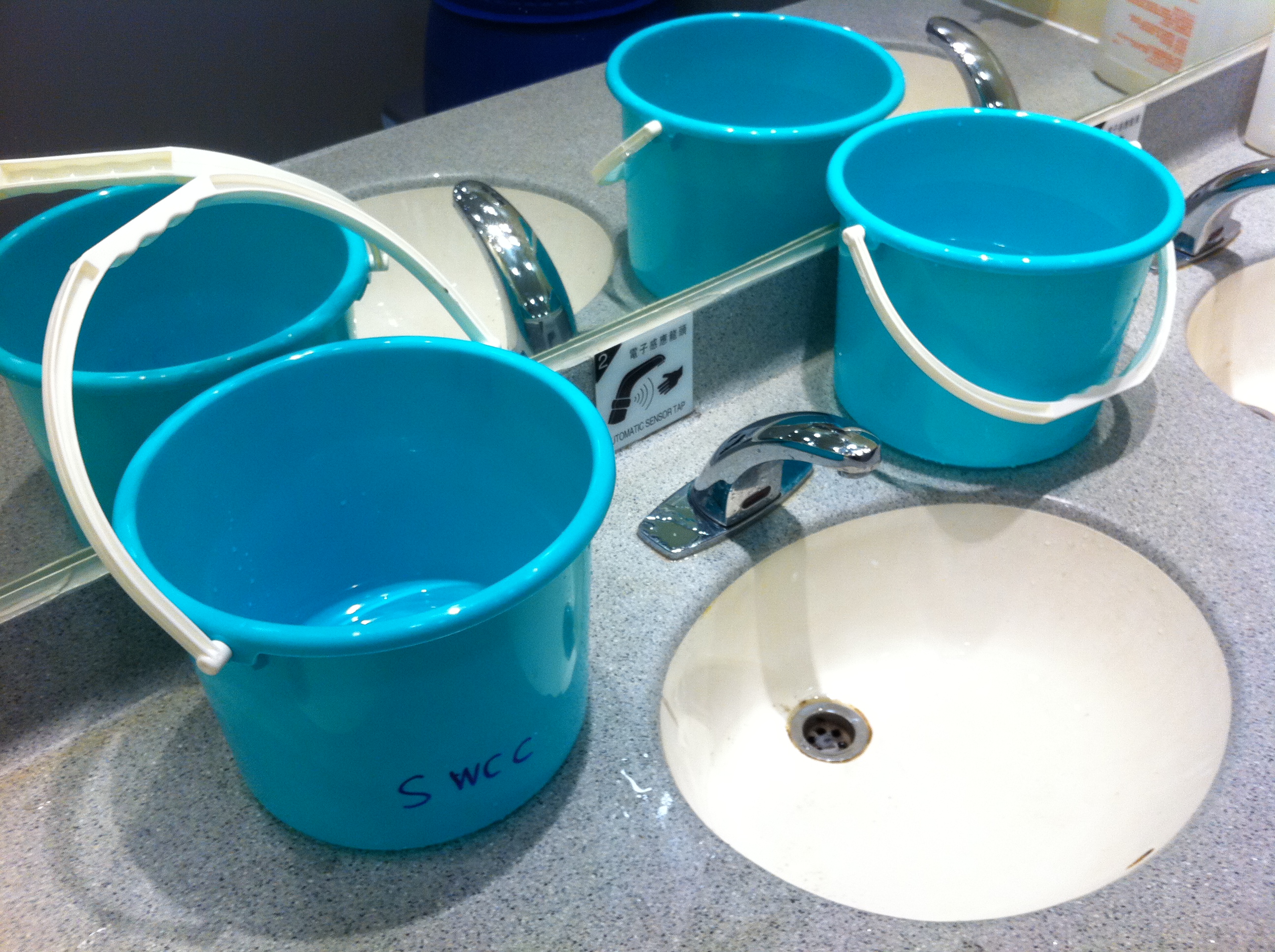 Washing Yogurt Containers for Food Storage (image credits: wikimedia)