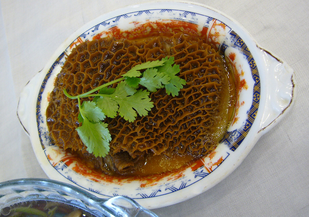 Tripe and Its Honeycomb Nightmare (image credits: flickr)