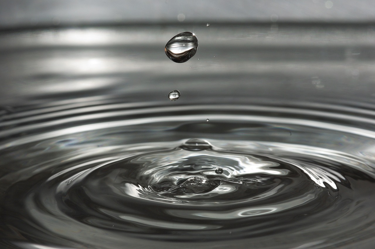 Microplastics in Bottled and Filtered Water (image credits: pixabay)