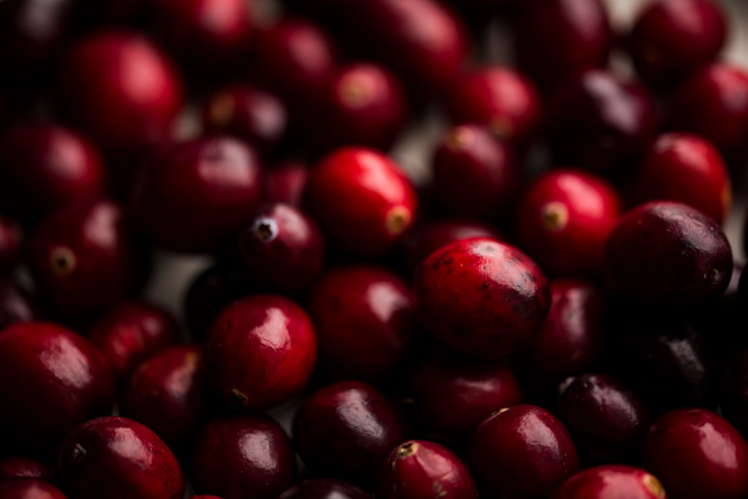 Cranberries - The Tart Health Guardian (image credits: unsplash)