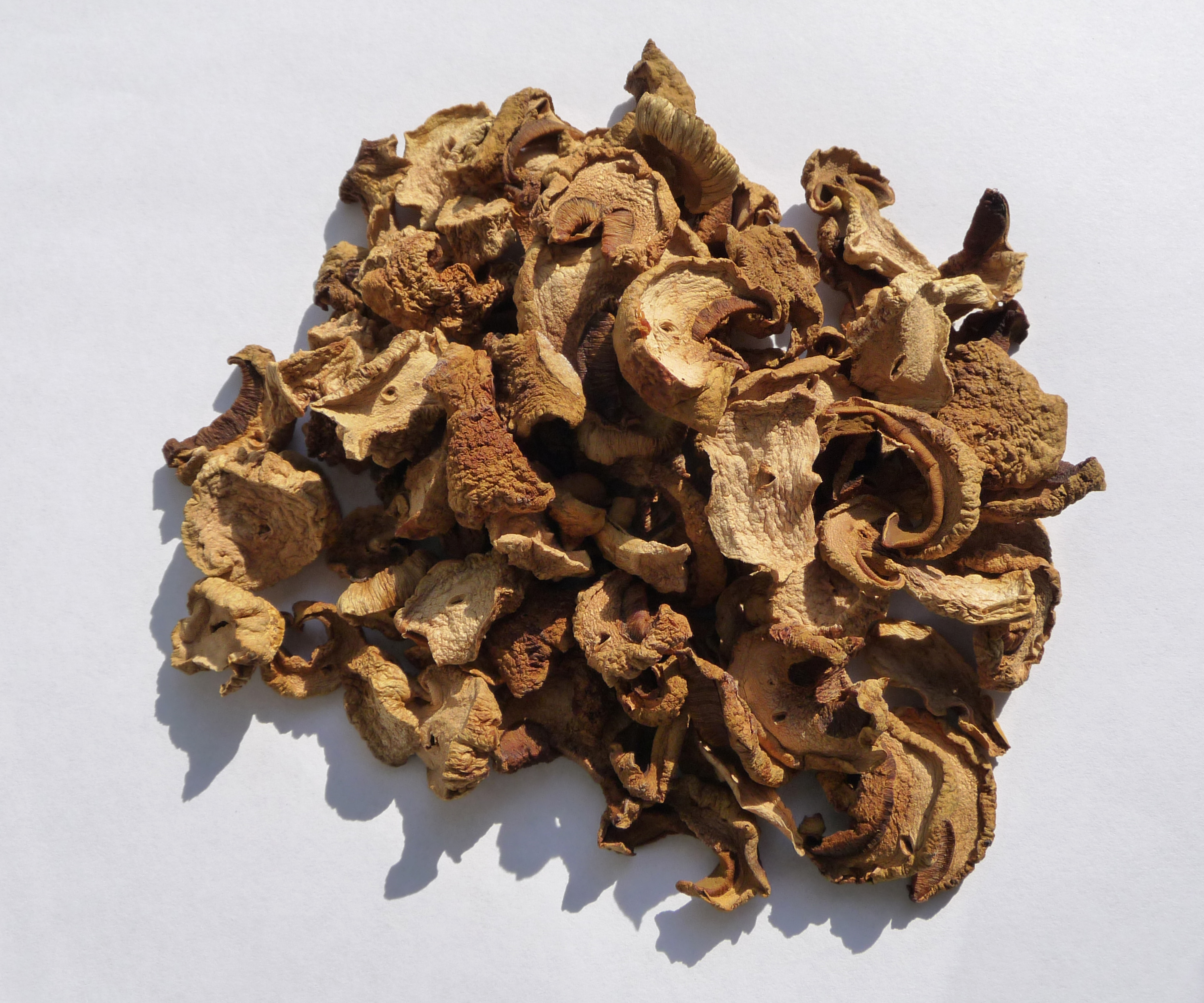Dried Mushrooms: Instant Gourmet Flavor (image credits: wikimedia)
