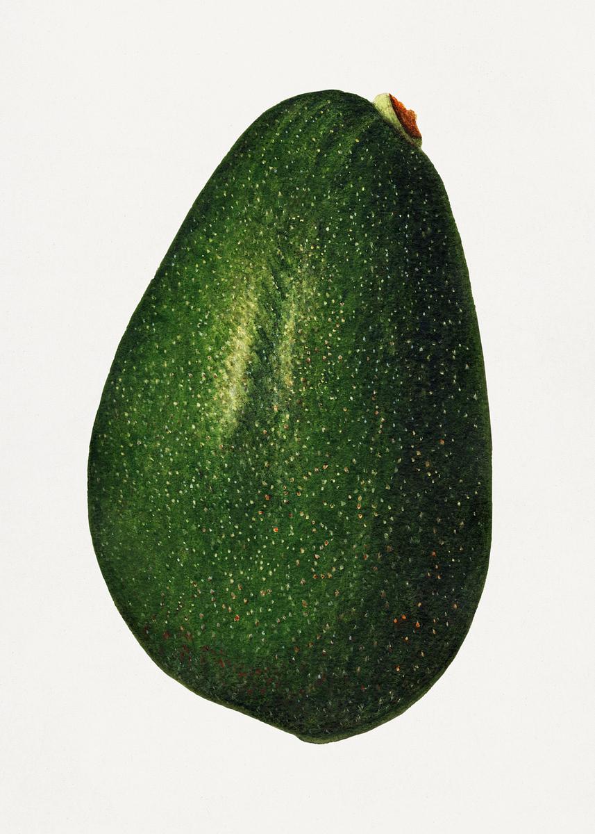 5. Neglecting Healthy Fats (image credits: rawpixel)