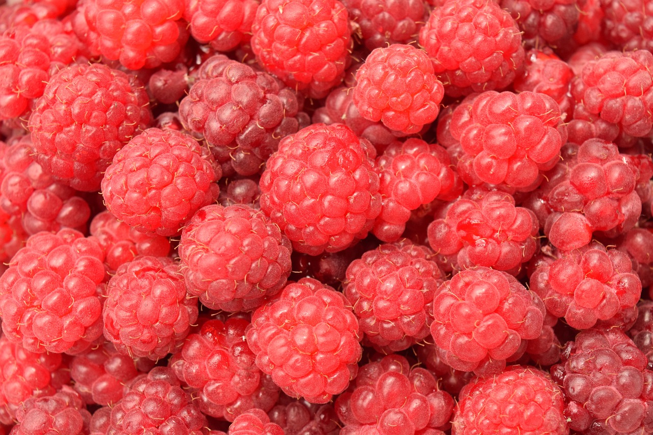 Berries: Nature’s Blood Sugar Guardians (image credits: pixabay)