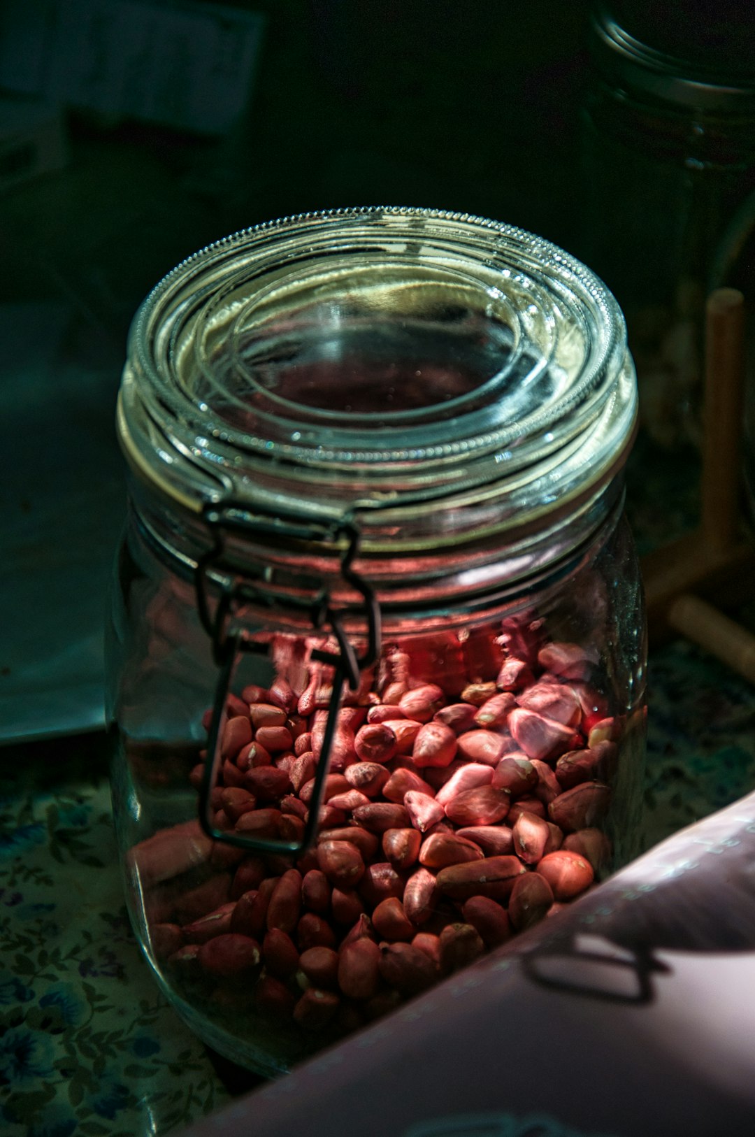 Canned Refried Beans – When Good Beans Go Bad (image credits: unsplash)