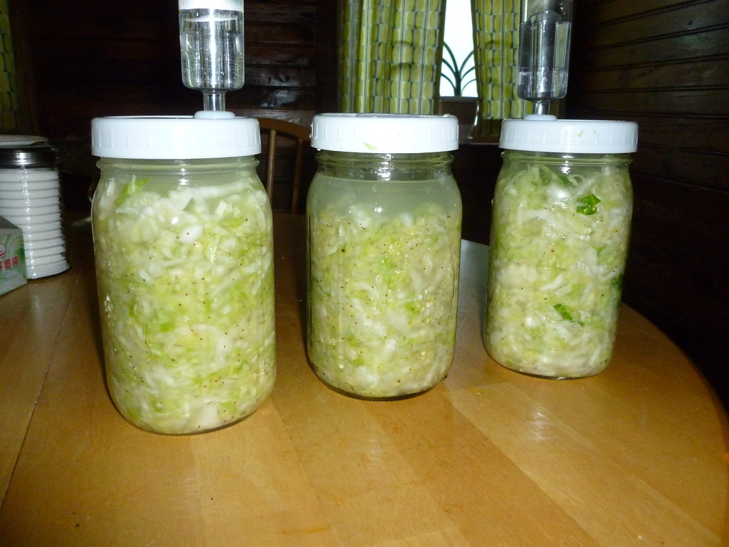 Sauerkraut: Simple Cabbage, Complex Benefits (image credits: flickr)