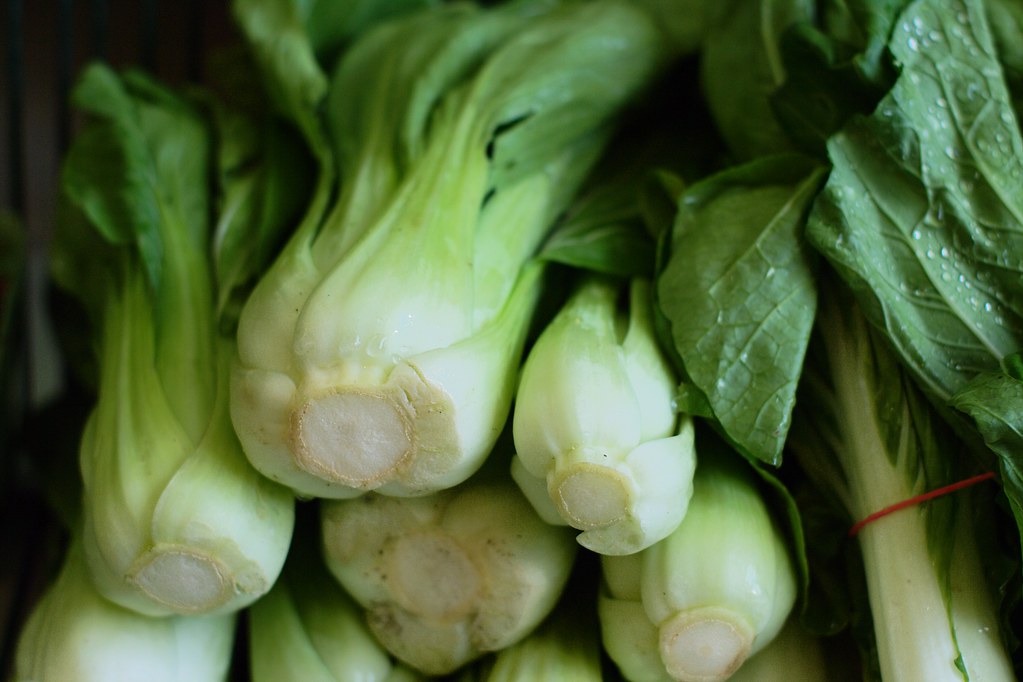 Bok Choy (image credits: flickr)