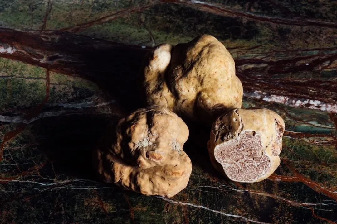White Truffle: The Diamond of the Kitchen (Image Credits: Unsplash)