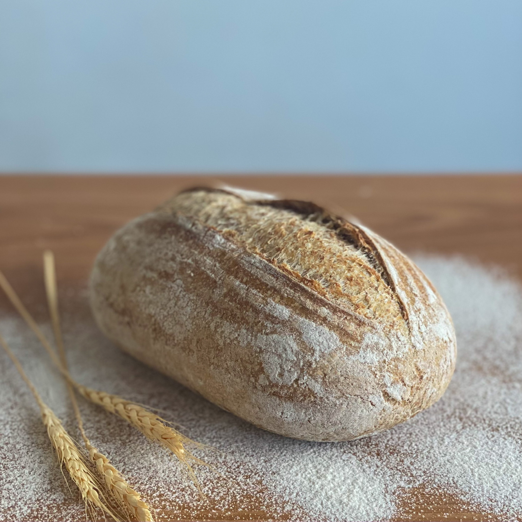 12. Wheat: Breadbasket Uncertainty (image credits: wikimedia)