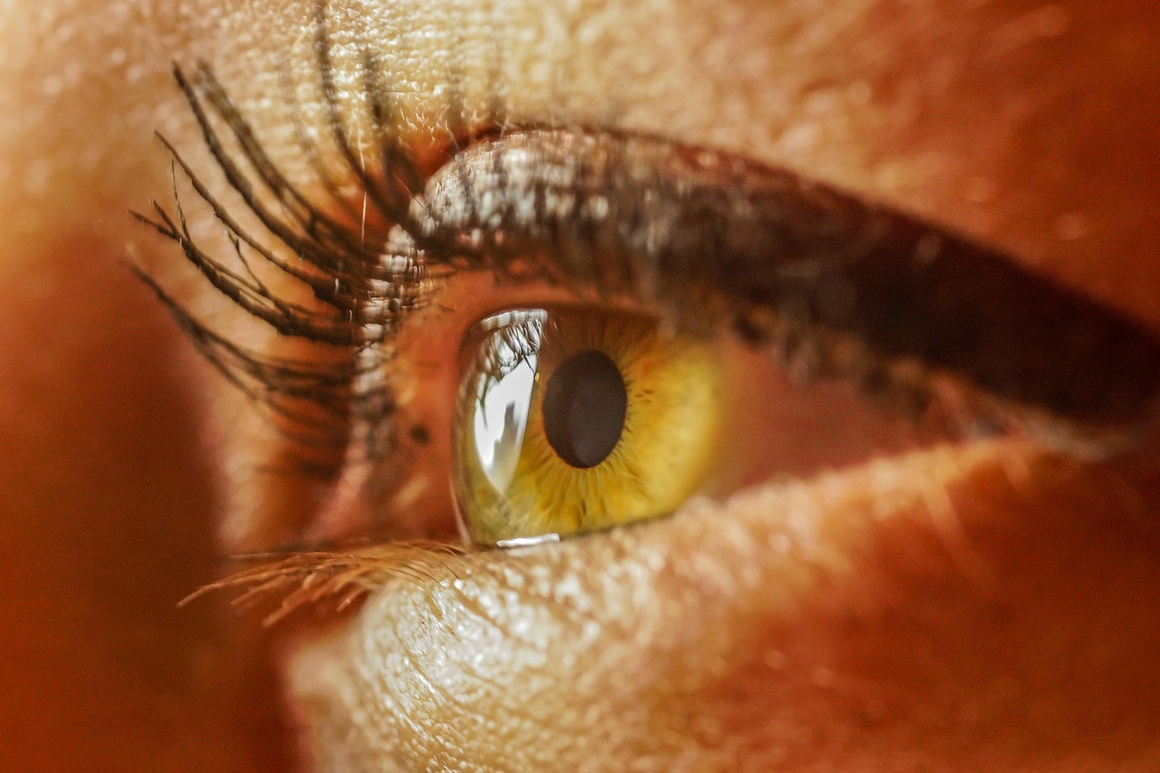 Vision Problems (image credits: pixabay)